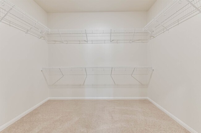 Building Photo - 1123 Rare Fancy Dr