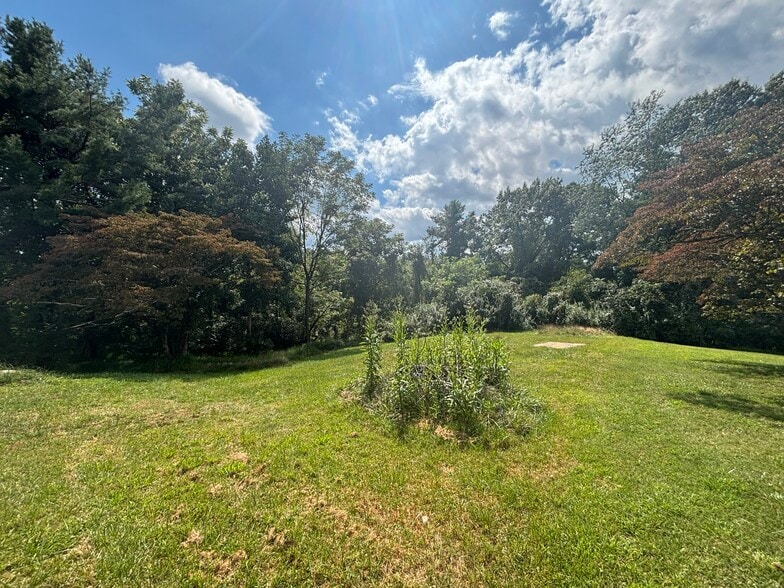 Back yard is large - 103 Hanks St