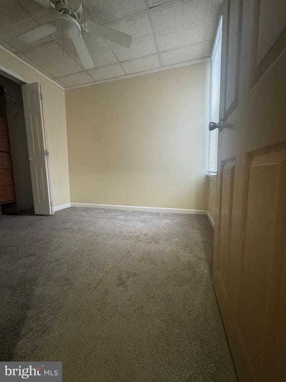 Building Photo - 3412 Salmon St