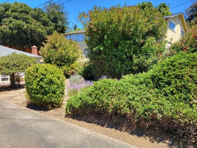 Building Photo - Single Story Home Located in the hills of ...
