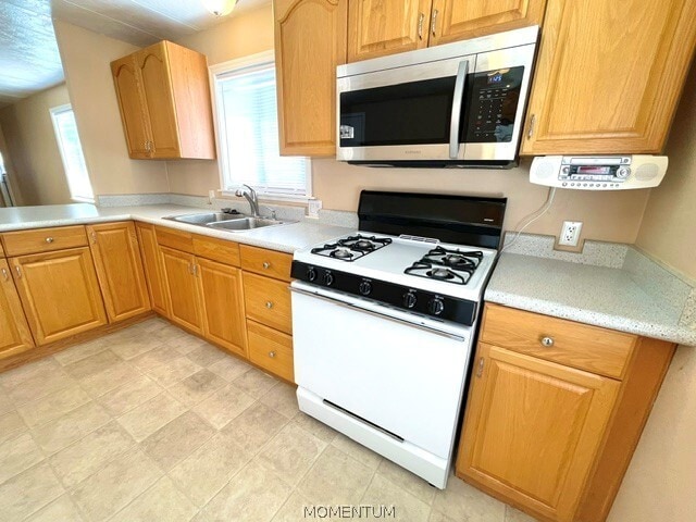 Building Photo - 803 Roadrunner Dr