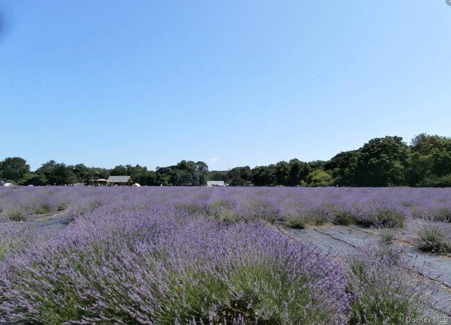 Building Photo - 3670 Rocky Point Rd