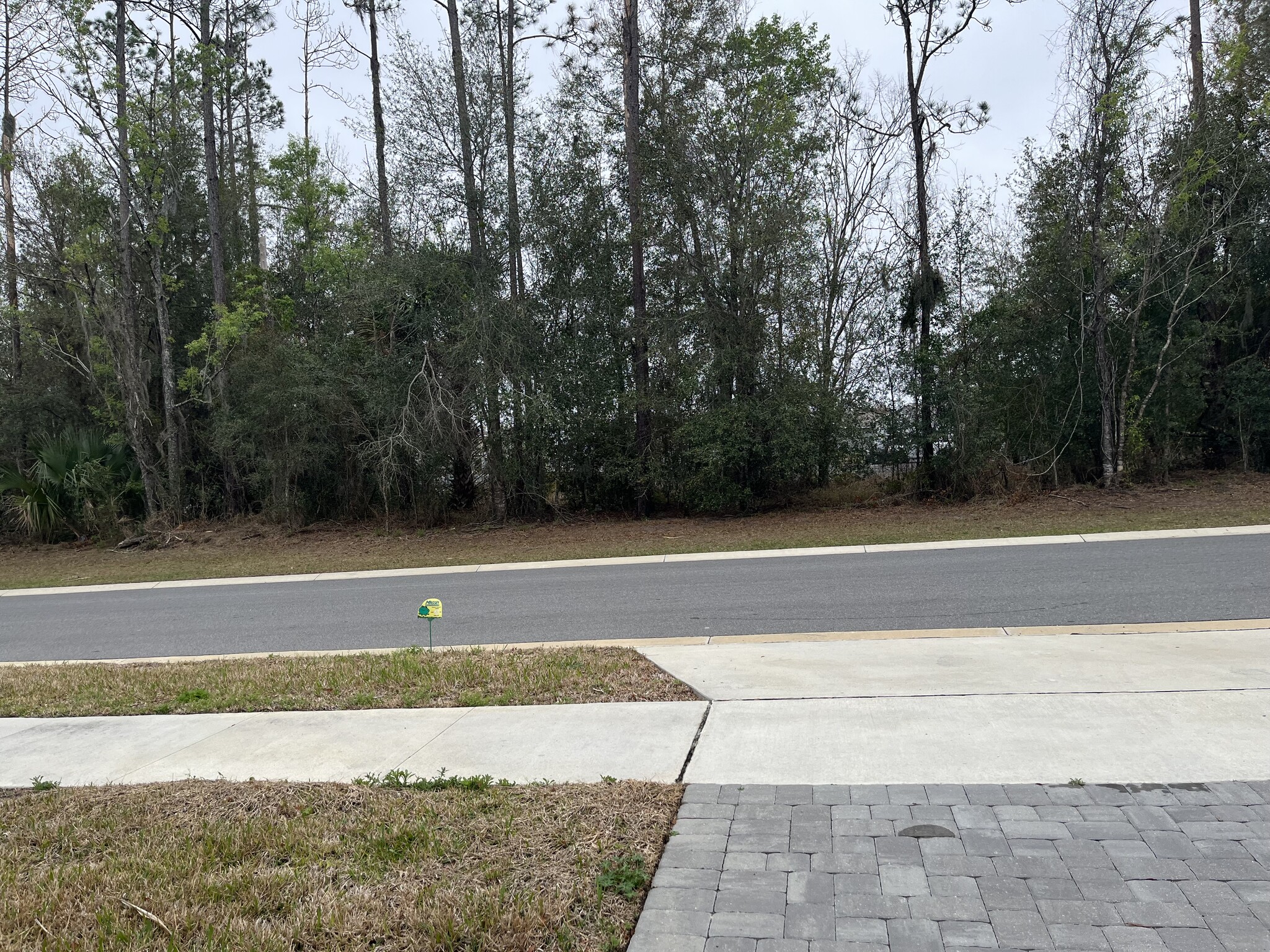 Building Photo - 801 Lemon Ave