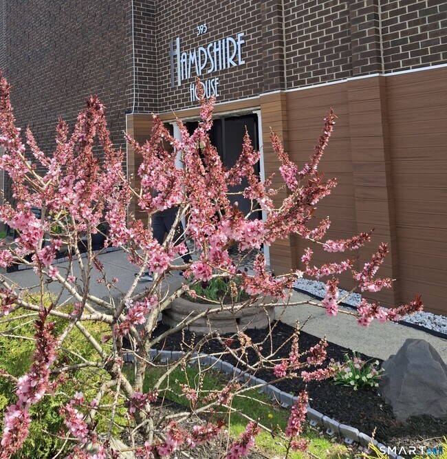 Building Photo - 393 Laurel Ave