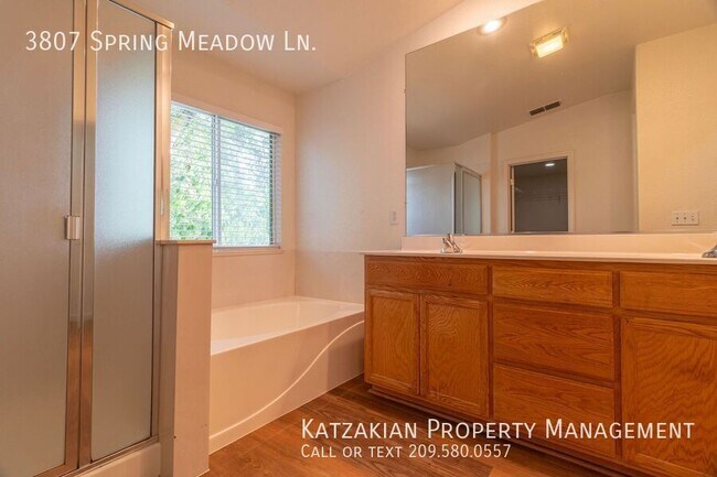 Building Photo - 3807 Spring Meadow Ln