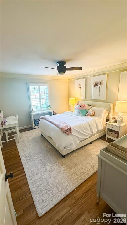 Building Photo - 3900 Braxton Dr