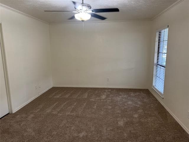 Building Photo - 3716 Mulberry Ln
