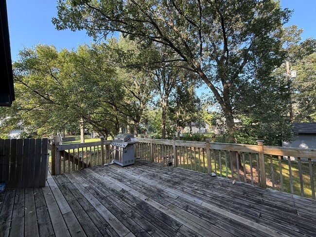 Building Photo - Spacious 4 Bedroom Home in Coon Rapids