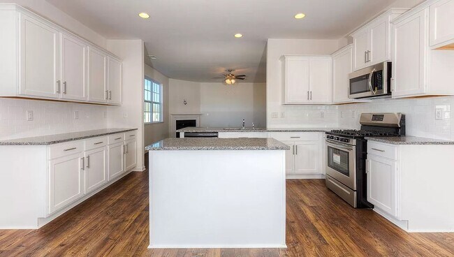 Building Photo - Spacious Newer Construction In Candler