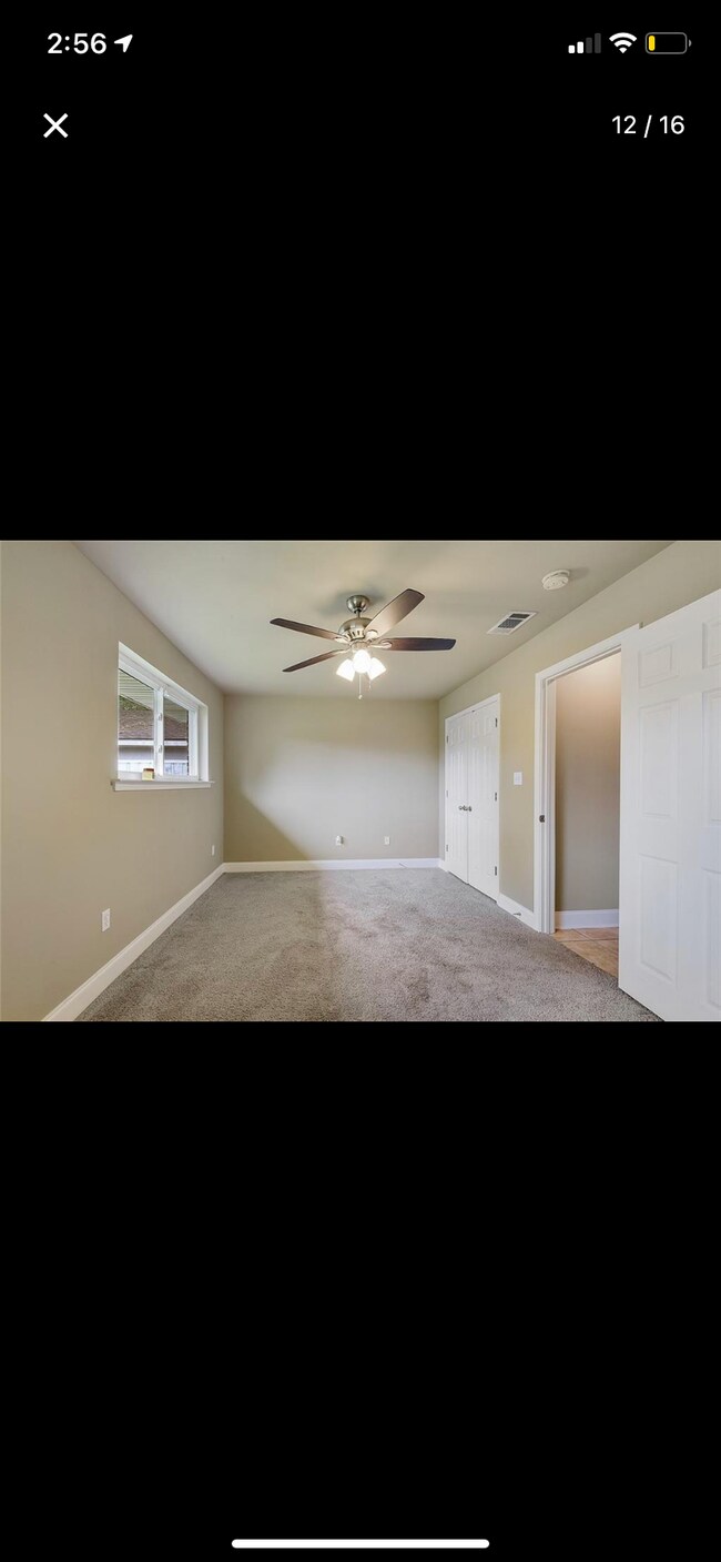 Building Photo - 205 Palm Springs Dr