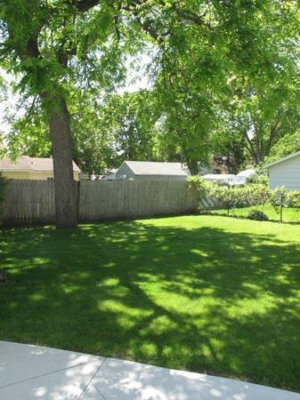 Backyard - 537 2nd Ave NW
