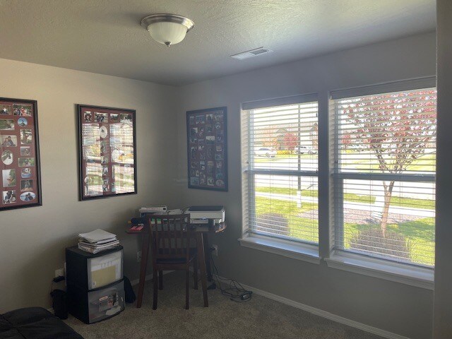 Spare Bedroom 2 / Office - 13555 N Telluride Loop