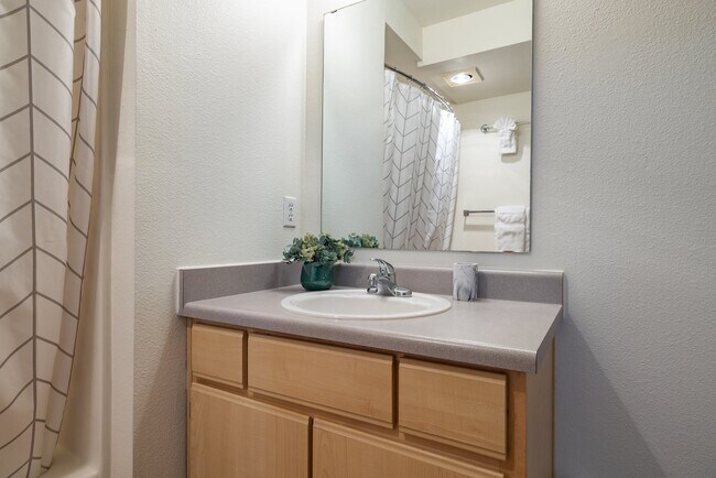 Building Photo - Allegro Apartment Homes