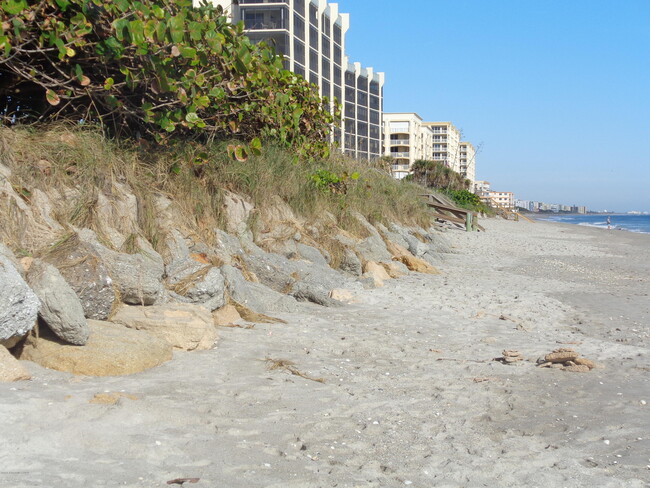 Building Photo - 1175 Jimmy Buffett Mem Hwy