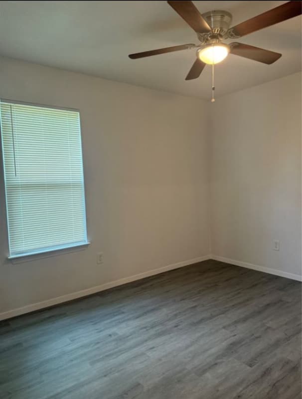 Building Photo - 3003 Williams Dr