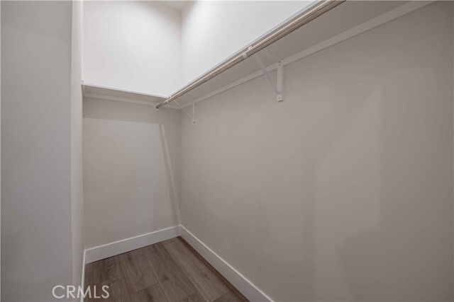 Building Photo - 1452 Calle Madreselva