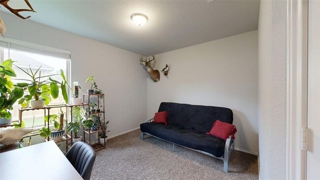 Building Photo - 803 Meadow Brook Dr
