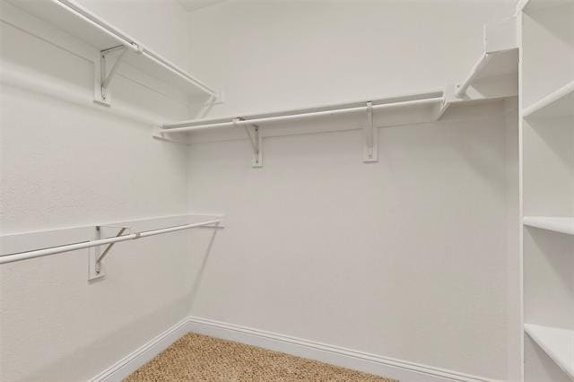 Building Photo - 11189 Cerrillos Dr