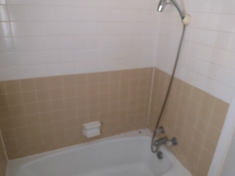 Bathroom - 202 W Line Ave