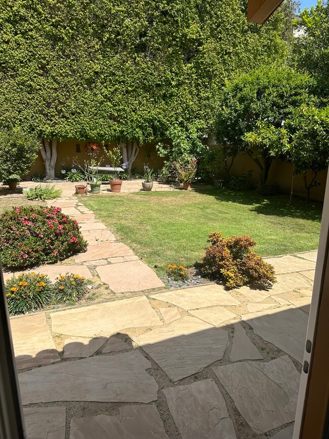 Backyard - 844 N Laurel Ave
