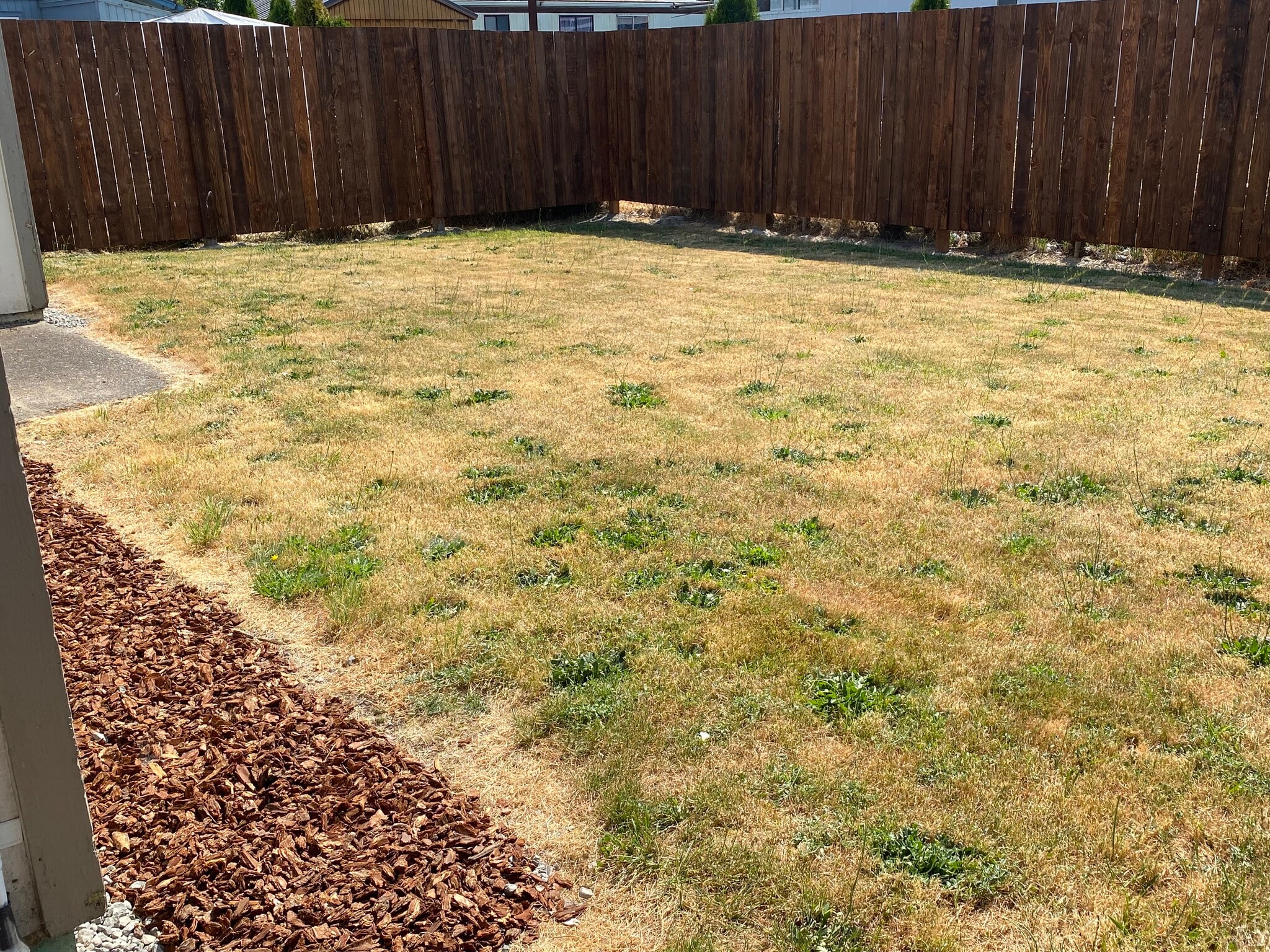 Private Backyard - 615 NW Fenton St