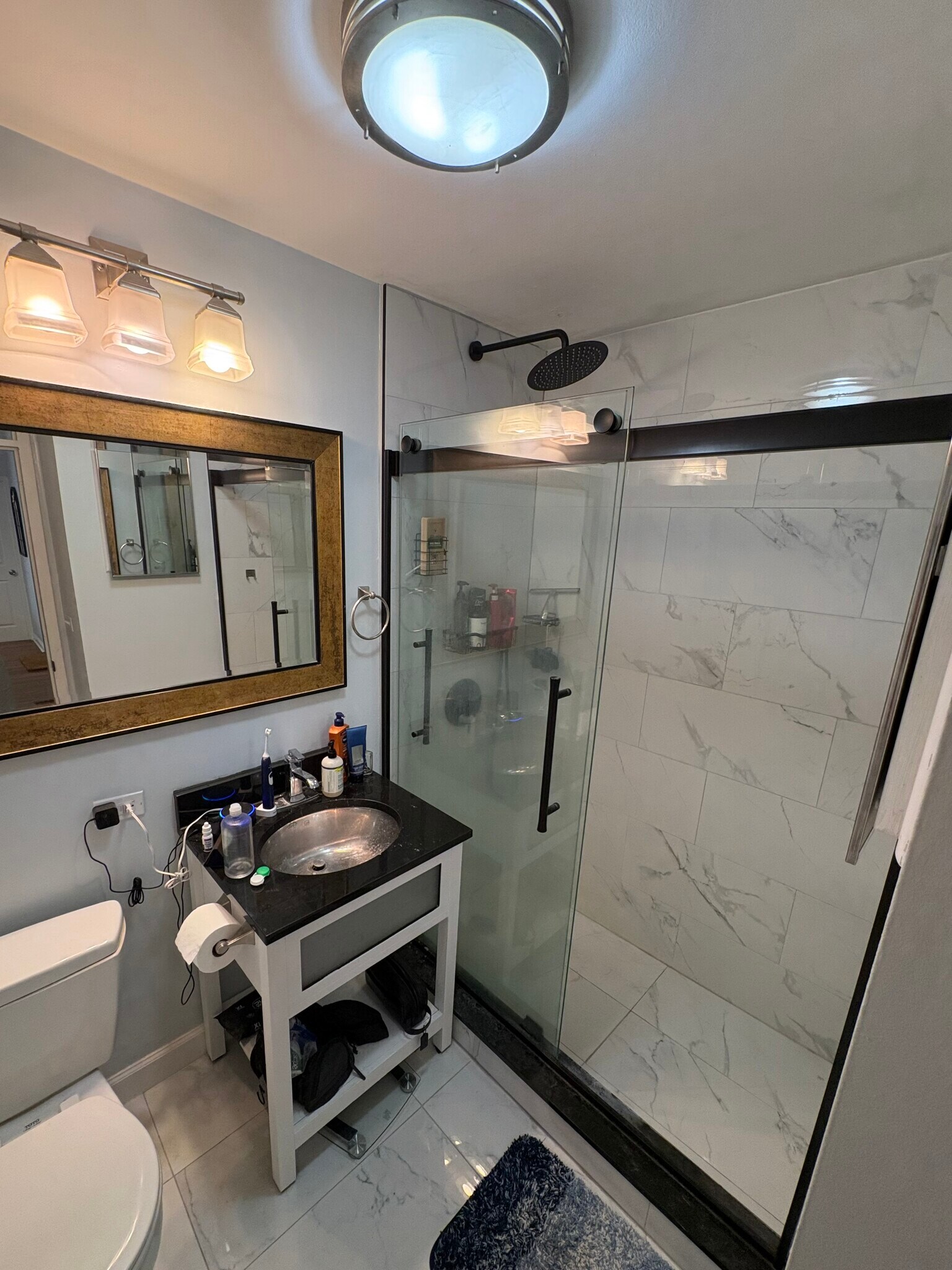 second bath - 1360 N Sandburg Ter