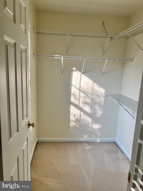 Building Photo - 1567 Northern Neck Dr