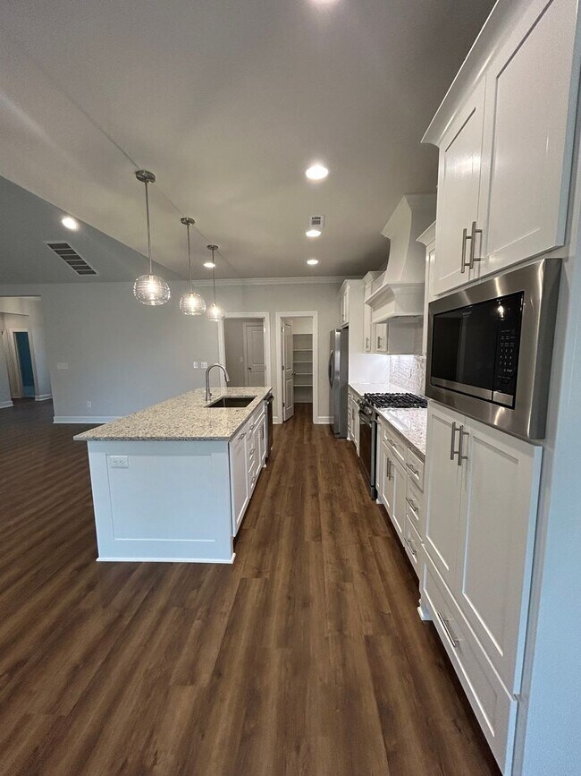 Building Photo - Beautiful Modern Home in Pea Ridge!