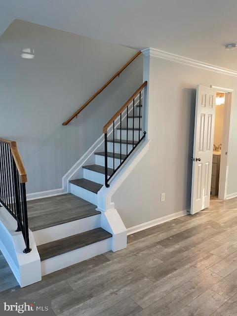 Building Photo - 1408 Nutwood Ct