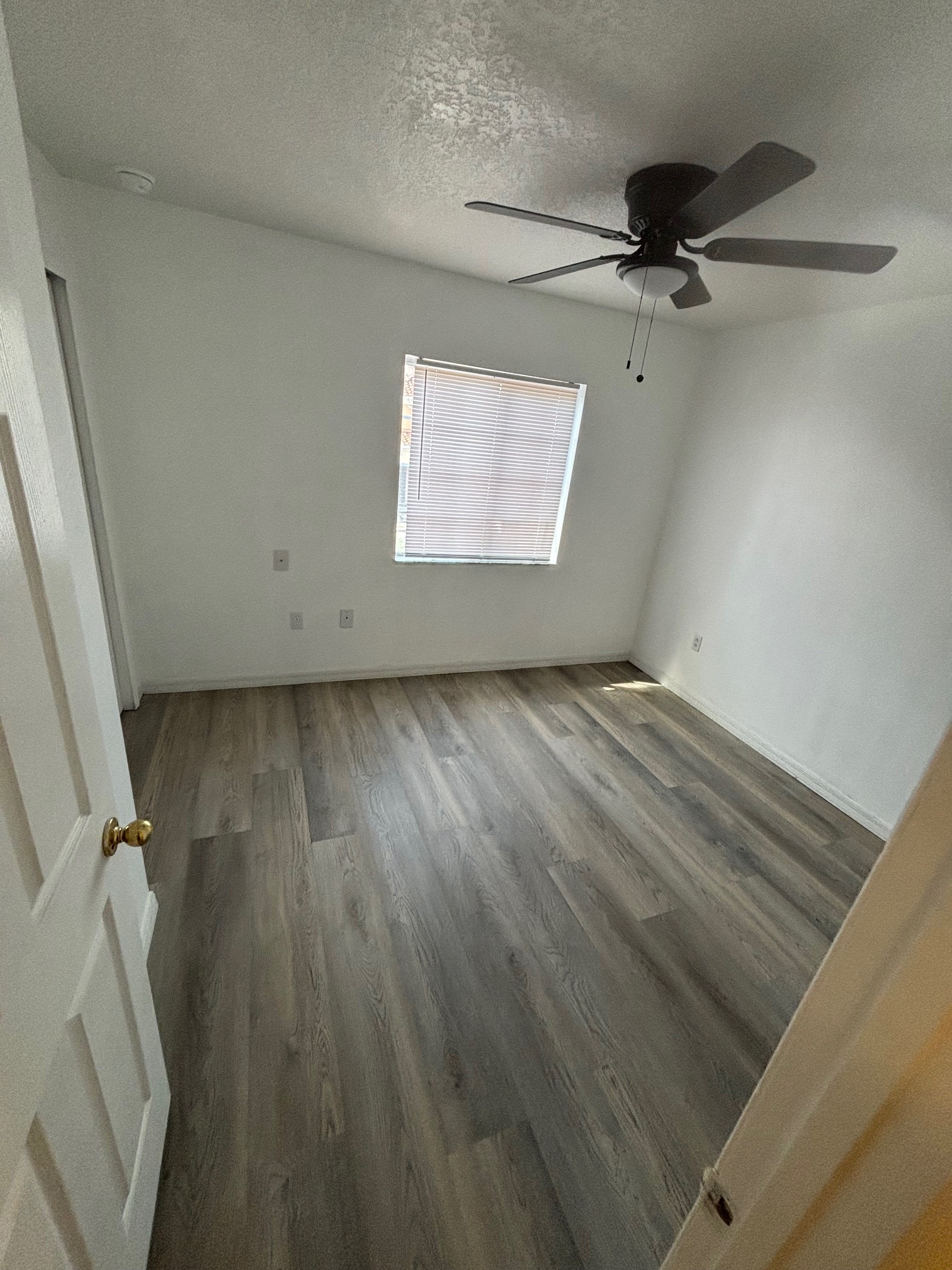 Building Photo - 5155 Regatta Dr
