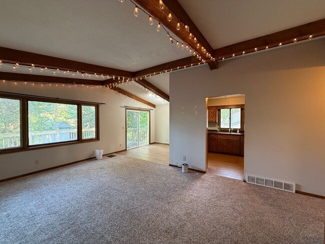 Building Photo - Spacious 4 Bedroom Home in Coon Rapids