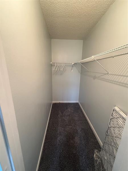 Building Photo - 144 Mansfield D