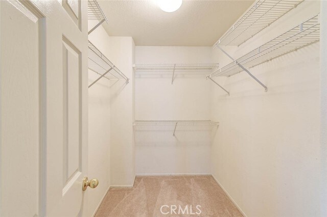 Building Photo - 175 Cherrybrook Ln