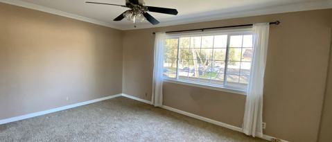 Building Photo - 211 Pecan Grove Ct