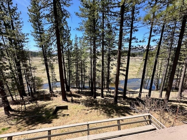 Building Photo - Warm & Inviting Cabin on the Meadow Avail. rental for 6-7 people!! Available starting 8/15/26!! C...