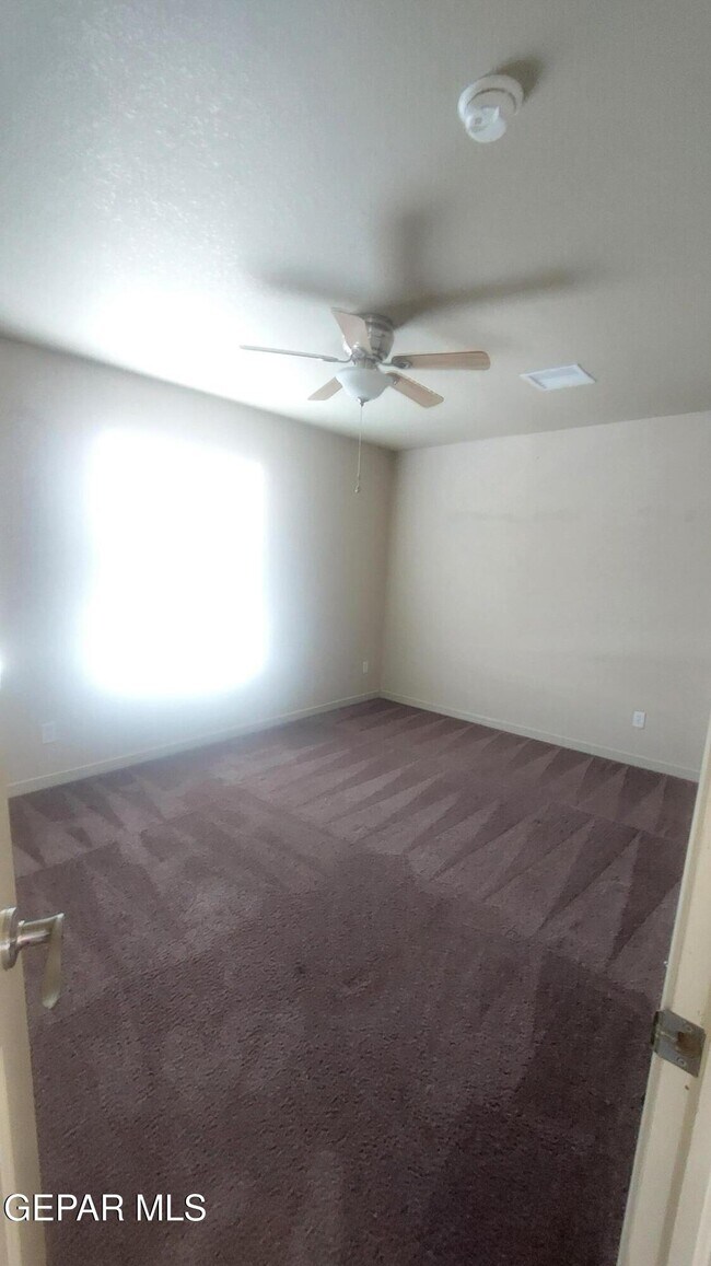 Building Photo - 3808 Tierra Allen Pl