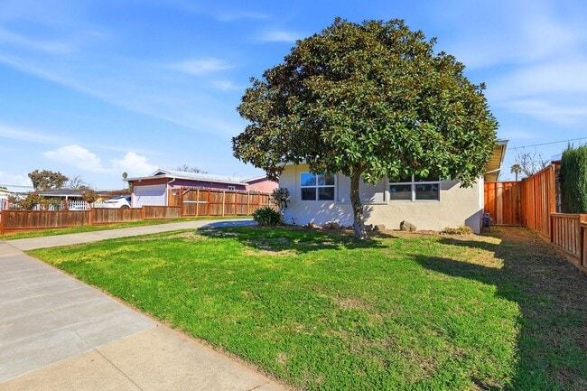 Building Photo - Recently Upgraded 3 Bedroom Home in San Jose