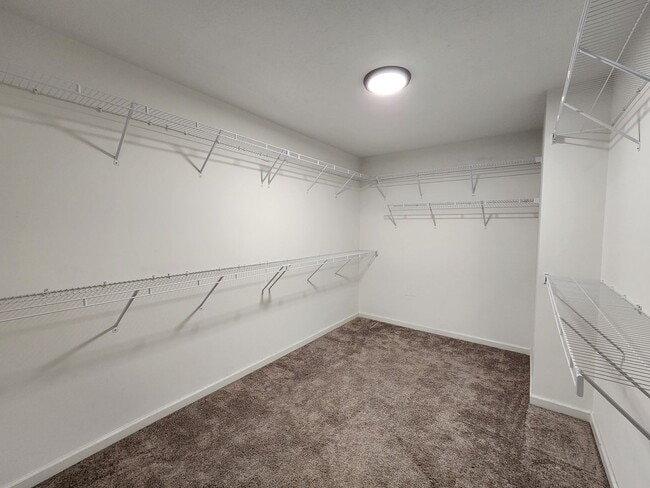 Building Photo - 4 Bedroom Ranch in Willow Oak Village