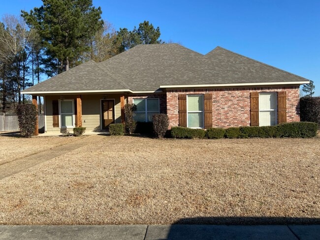 Primary Photo - A must have in Canton, MS!!