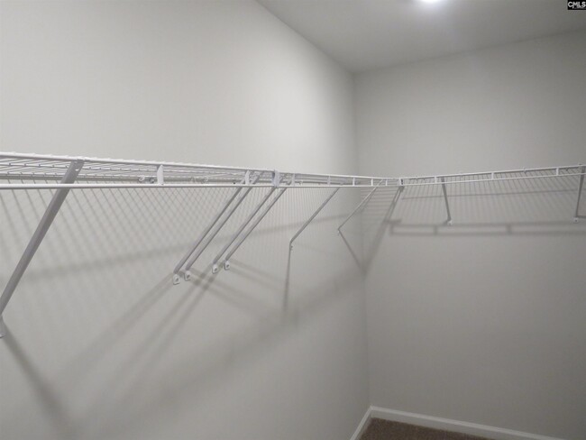 Building Photo - 427 Nutsedge Ct