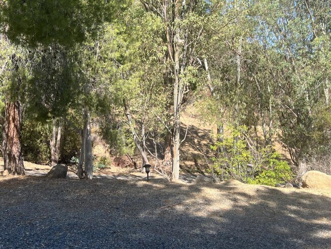 Building Photo - 33279 Arbolado Ln