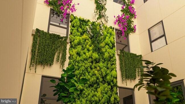 Building Photo - 1341 H St NE