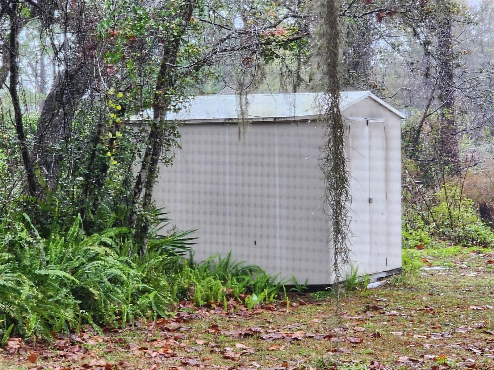 Building Photo - 2033 Quintilis Ct