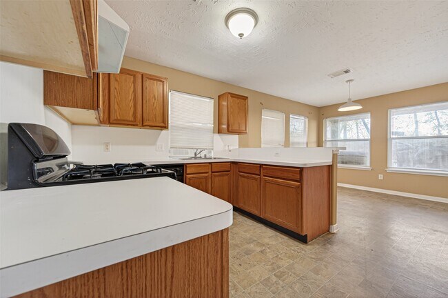 Building Photo - 3006 Palace Oaks Dr