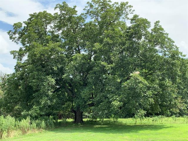 Building Photo - 590 Co Rd 1570