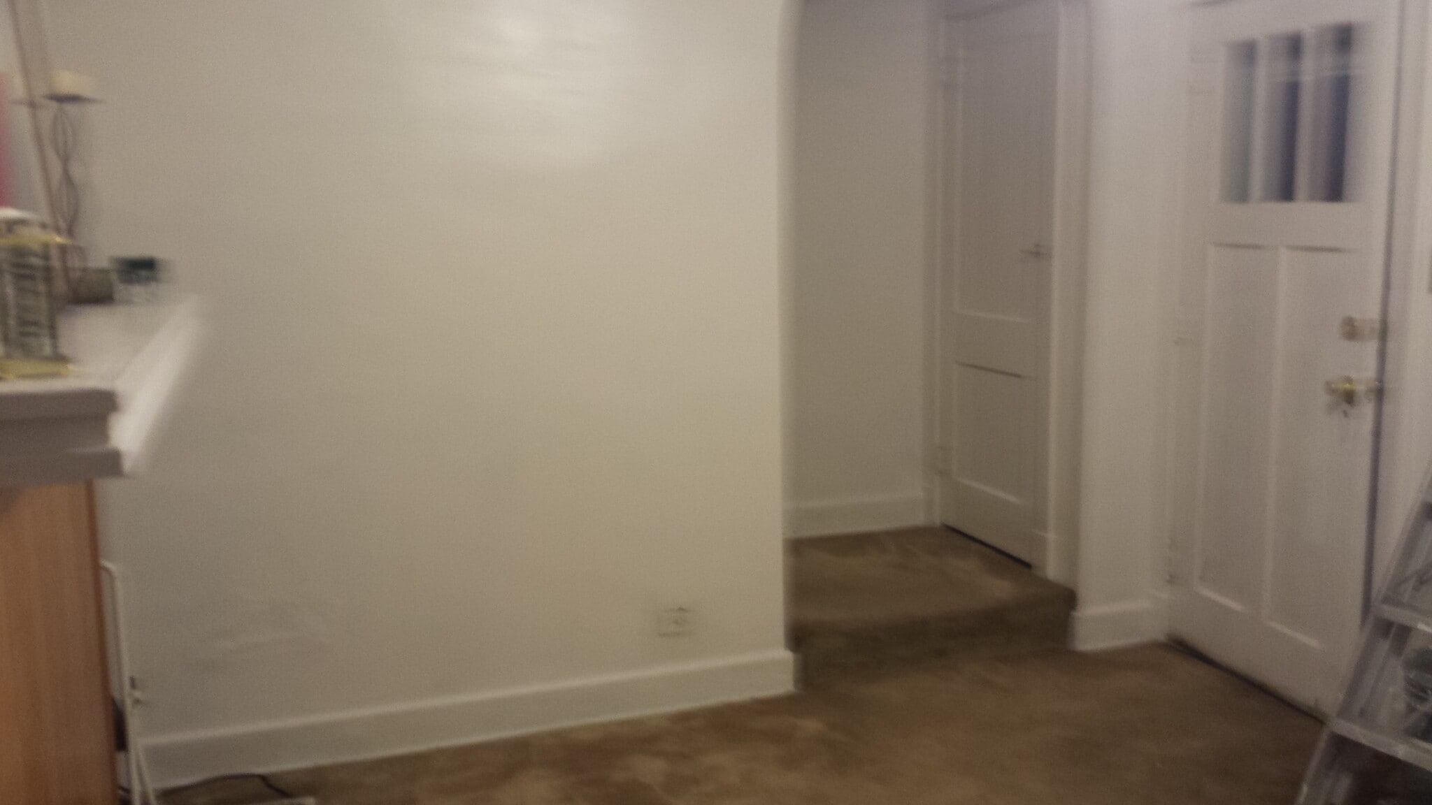 Living Room leading to closet and steps on 1st floor - 2419 Saranac Ave