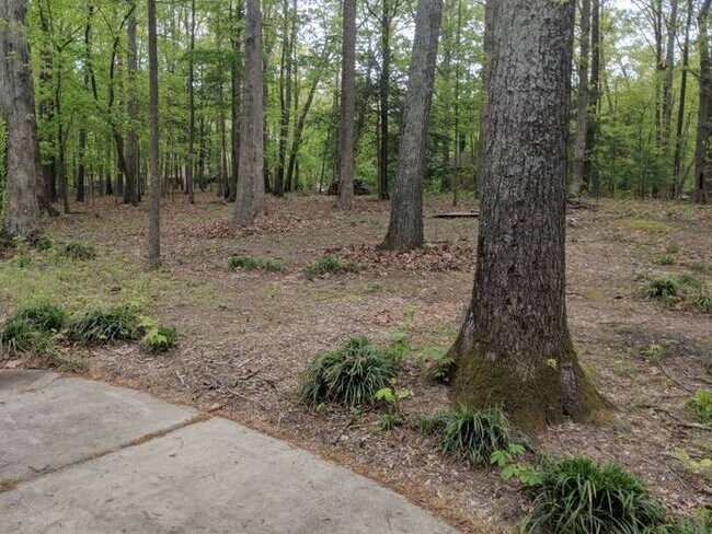 Building Photo - 144 Fern Forest Dr