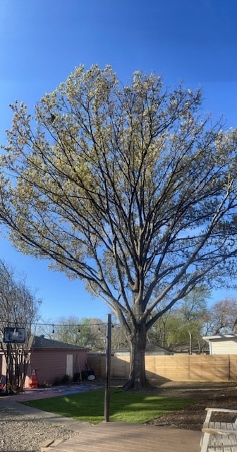 Building Photo - 10020 Losa Dr