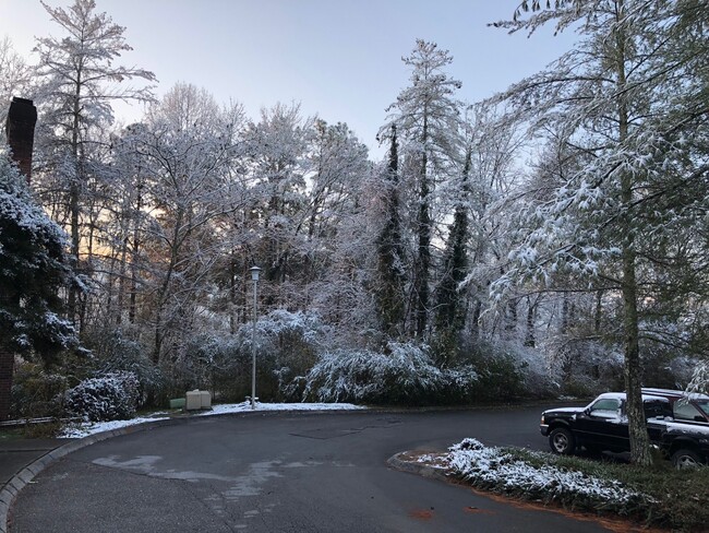 Beautiful winter view in front yard - 127 Arcadia Ln