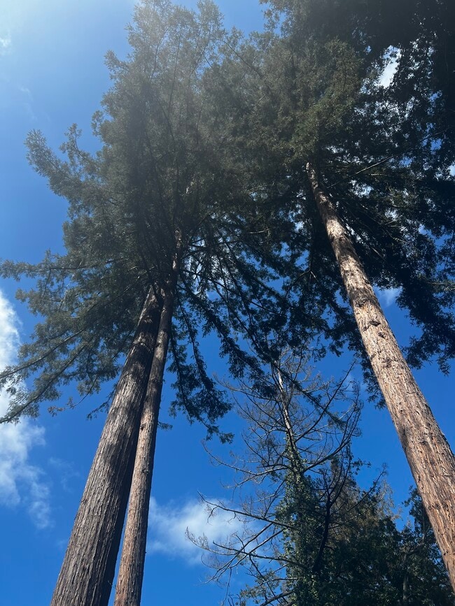 Building Photo - 21451 Lee Dr